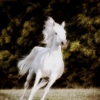 582180_10151638389830363_10150129592505363_24217134_682350089_n