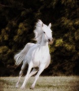 582180_10151638389830363_10150129592505363_24217134_682350089_n